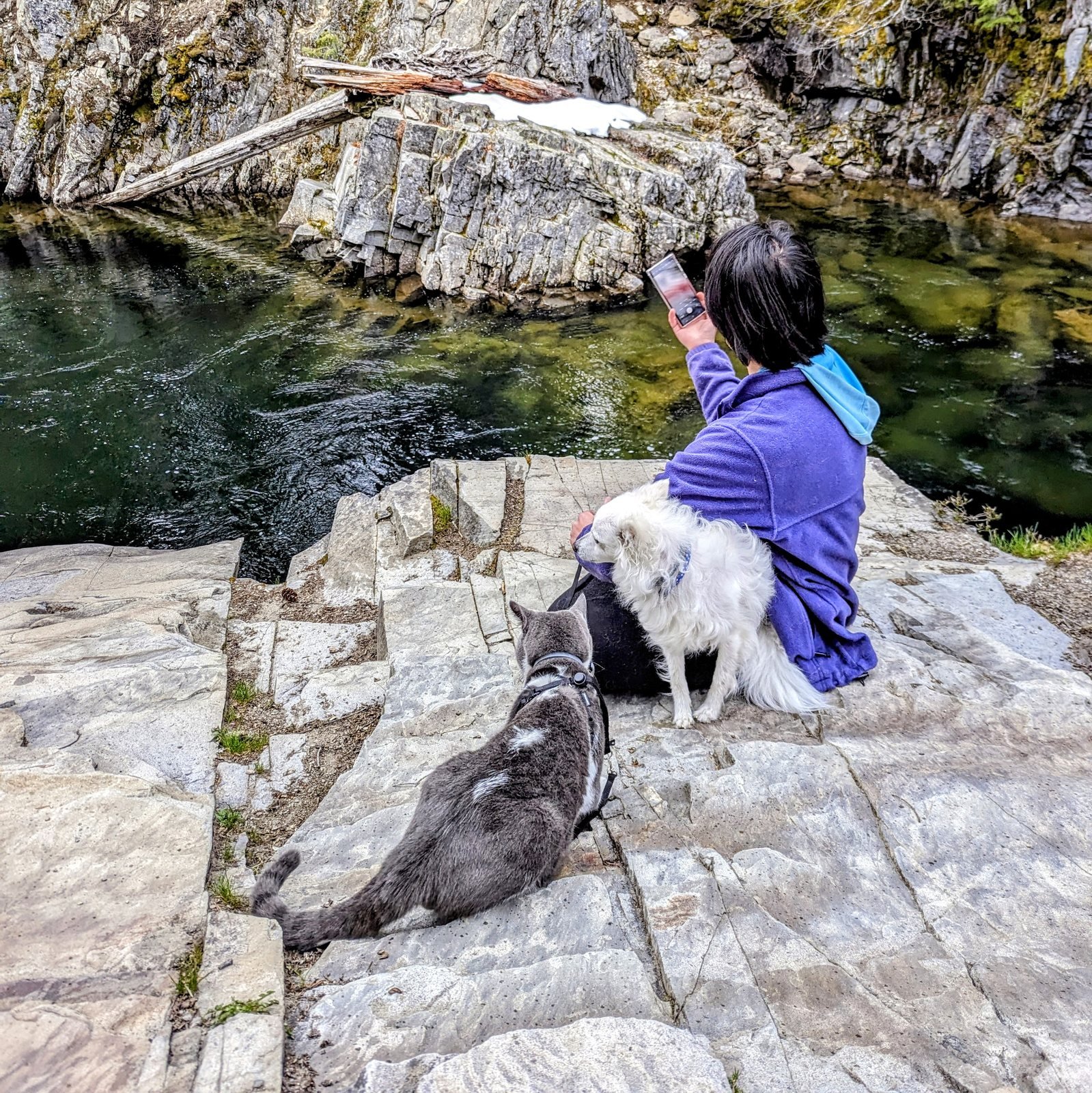 Nobu and Yuki above a green river pool