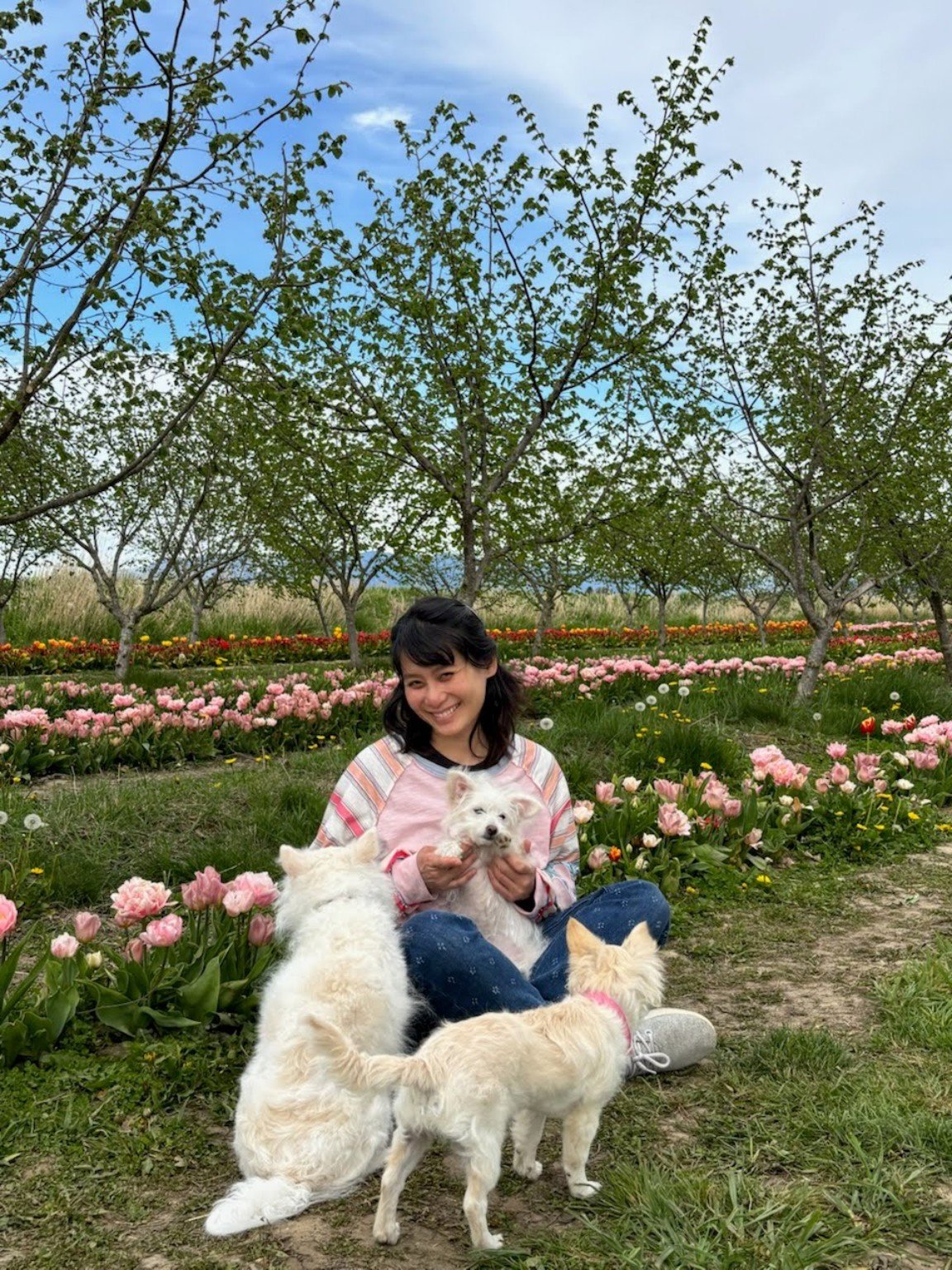 Me and the dogs in the tulip fields